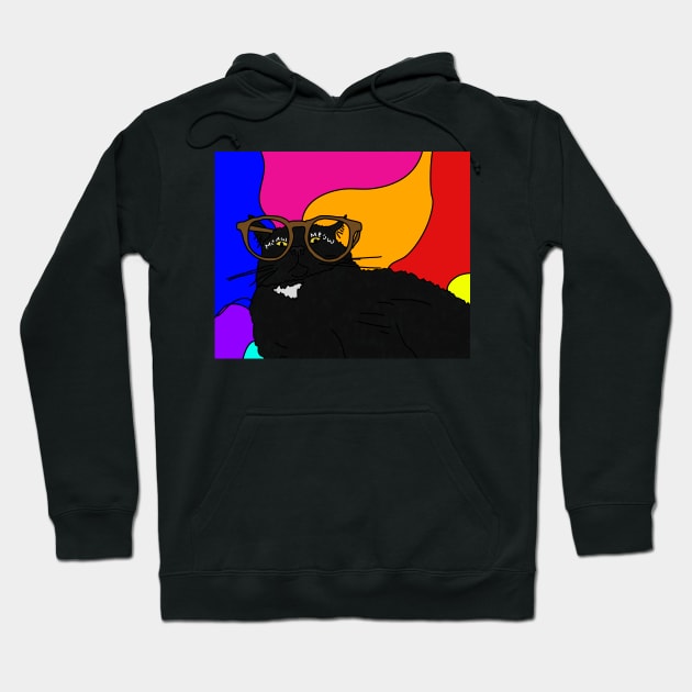 Psychedelic cat in glasses... what a trip! Hoodie by HFGJewels